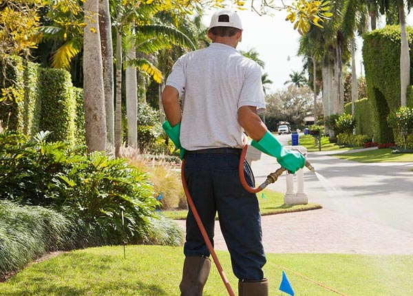 About Spotswood NJ Pest Control Pros